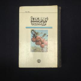 Картинка 3