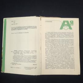 Картинка 5