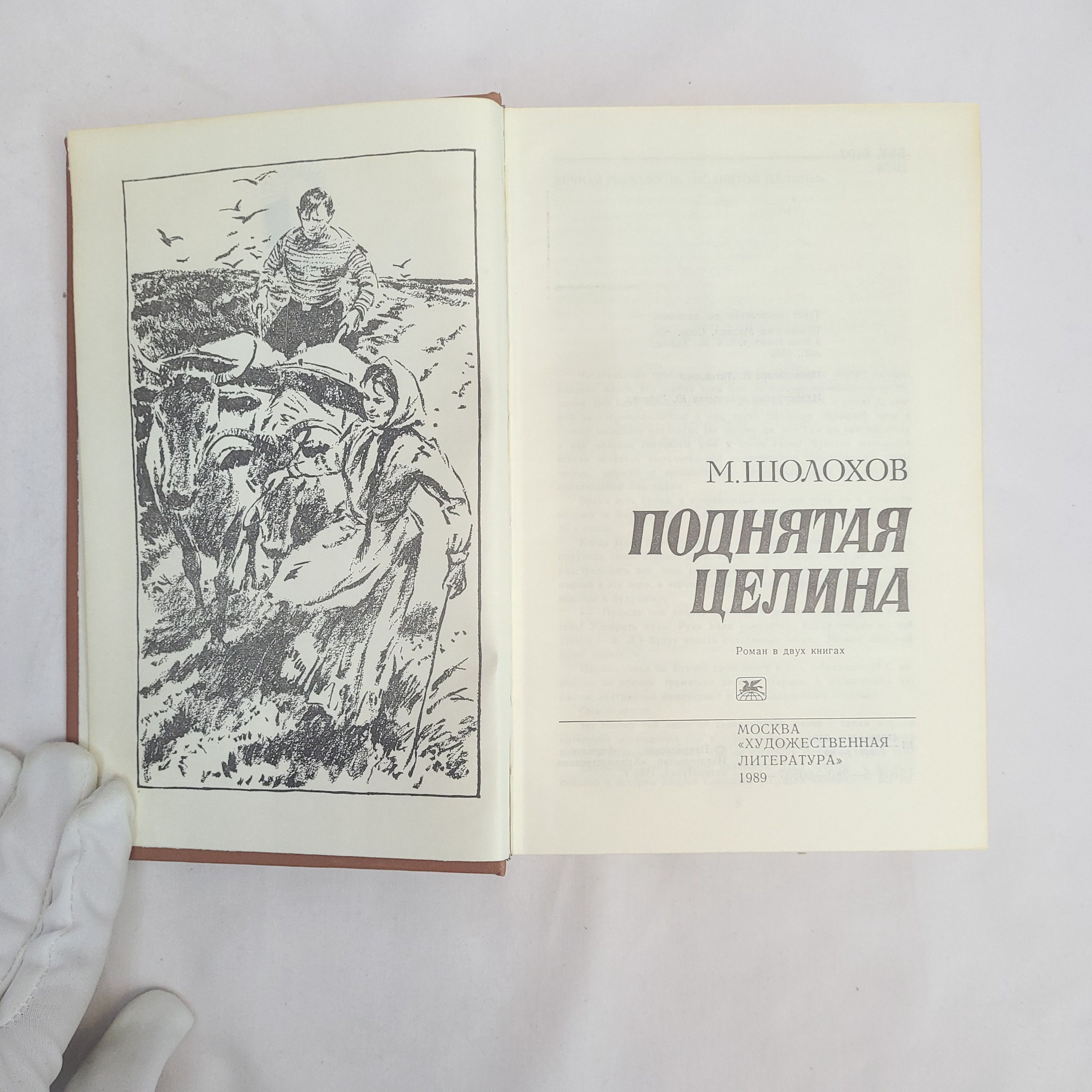 Картинка 4