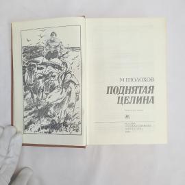 Картинка 4