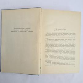 Картинка 5