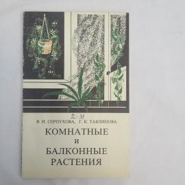 Картинка 1