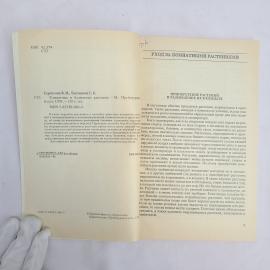 Картинка 4