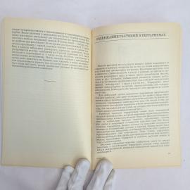 Картинка 5