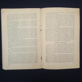 Картинка 5