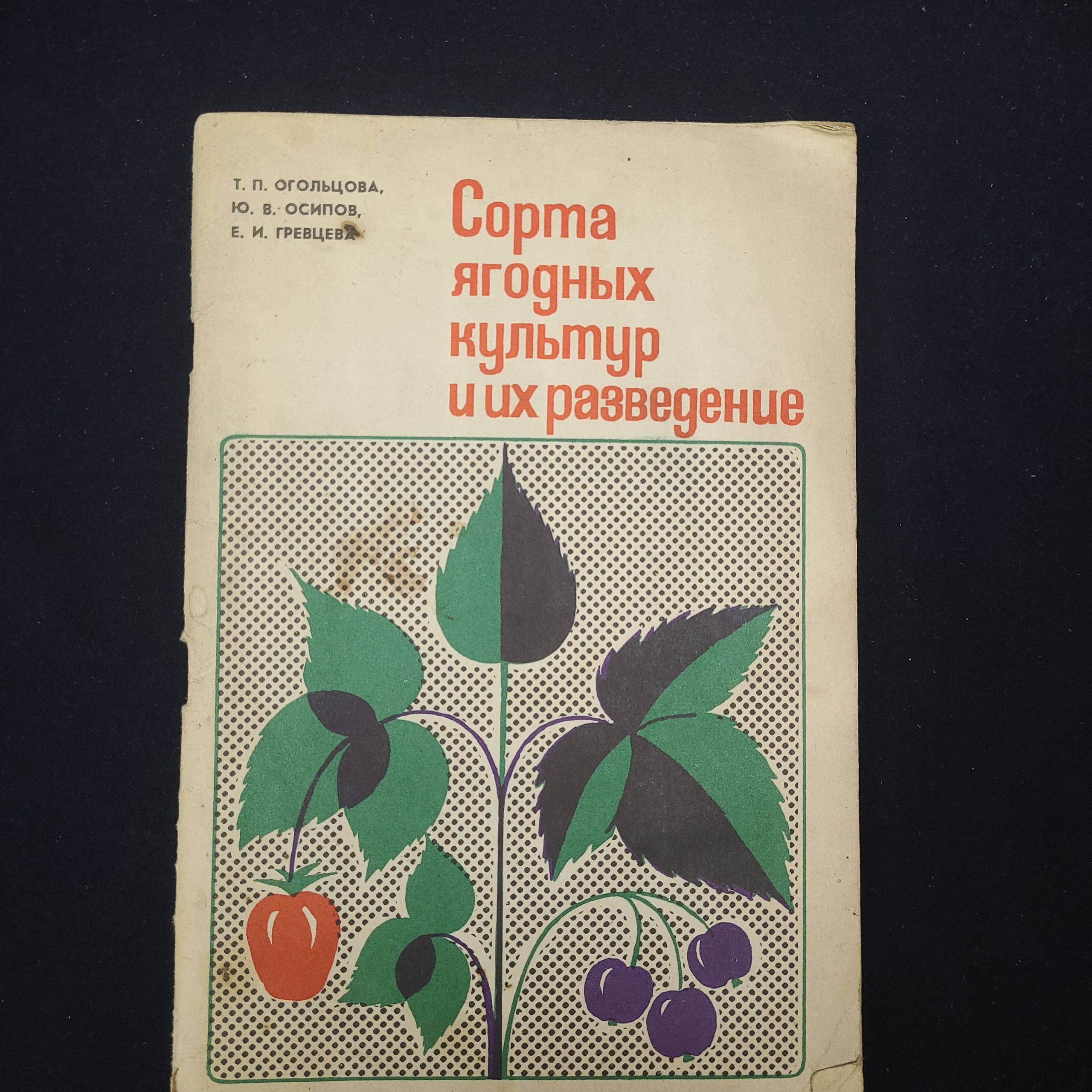 Картинка 1