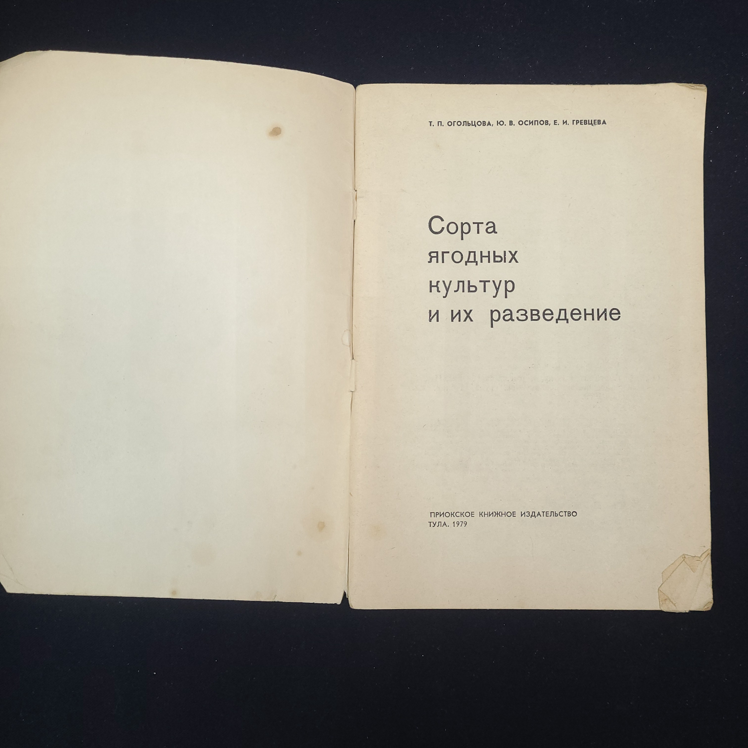 Картинка 3