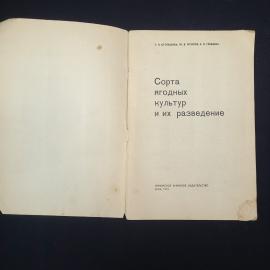 Картинка 3