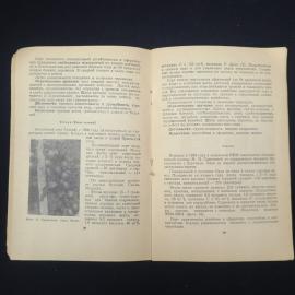 Картинка 5