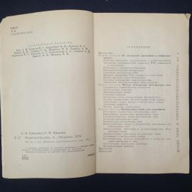Картинка 4