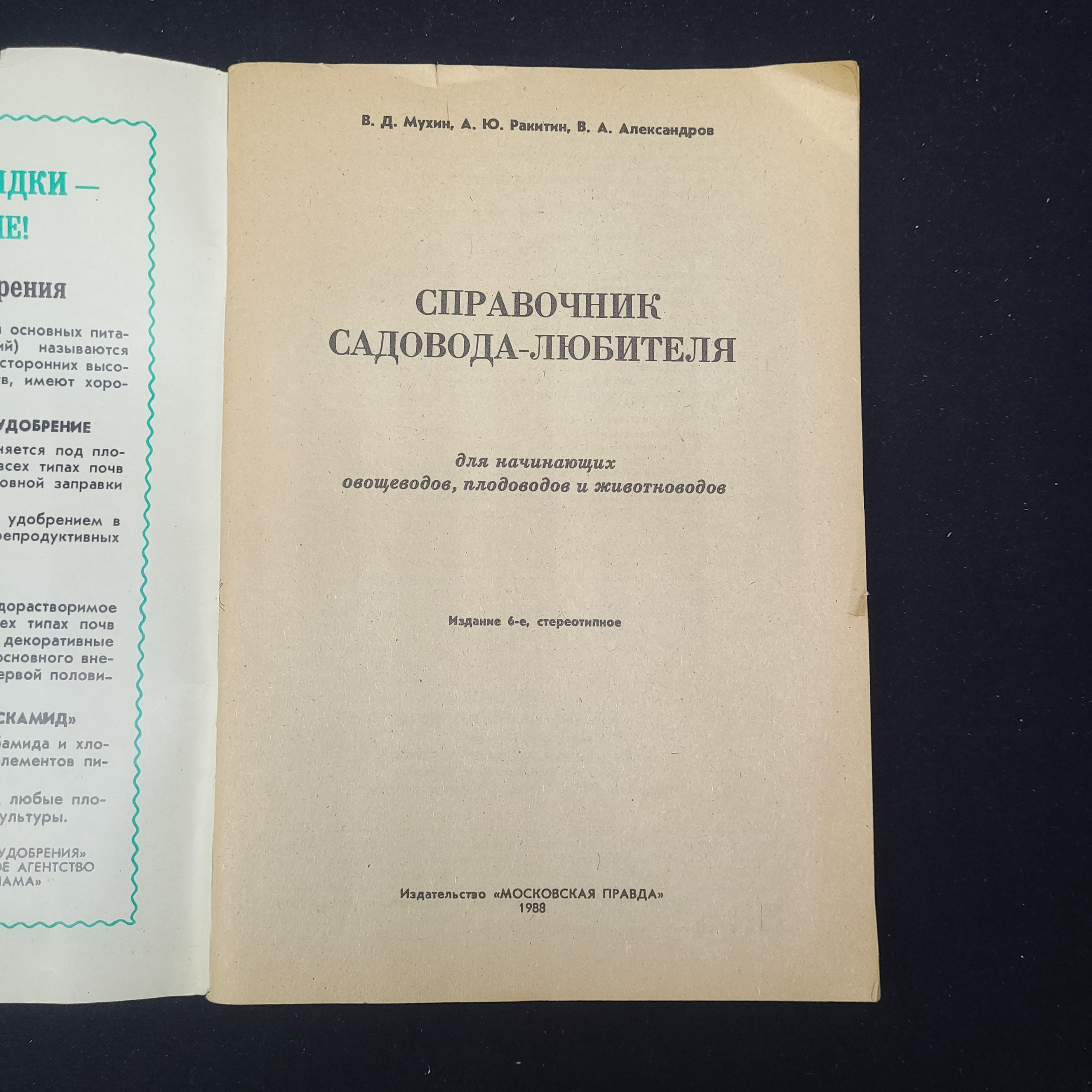 Картинка 3