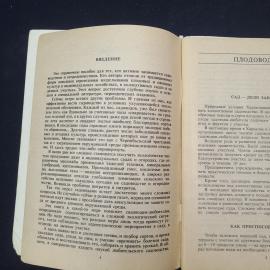 Картинка 4