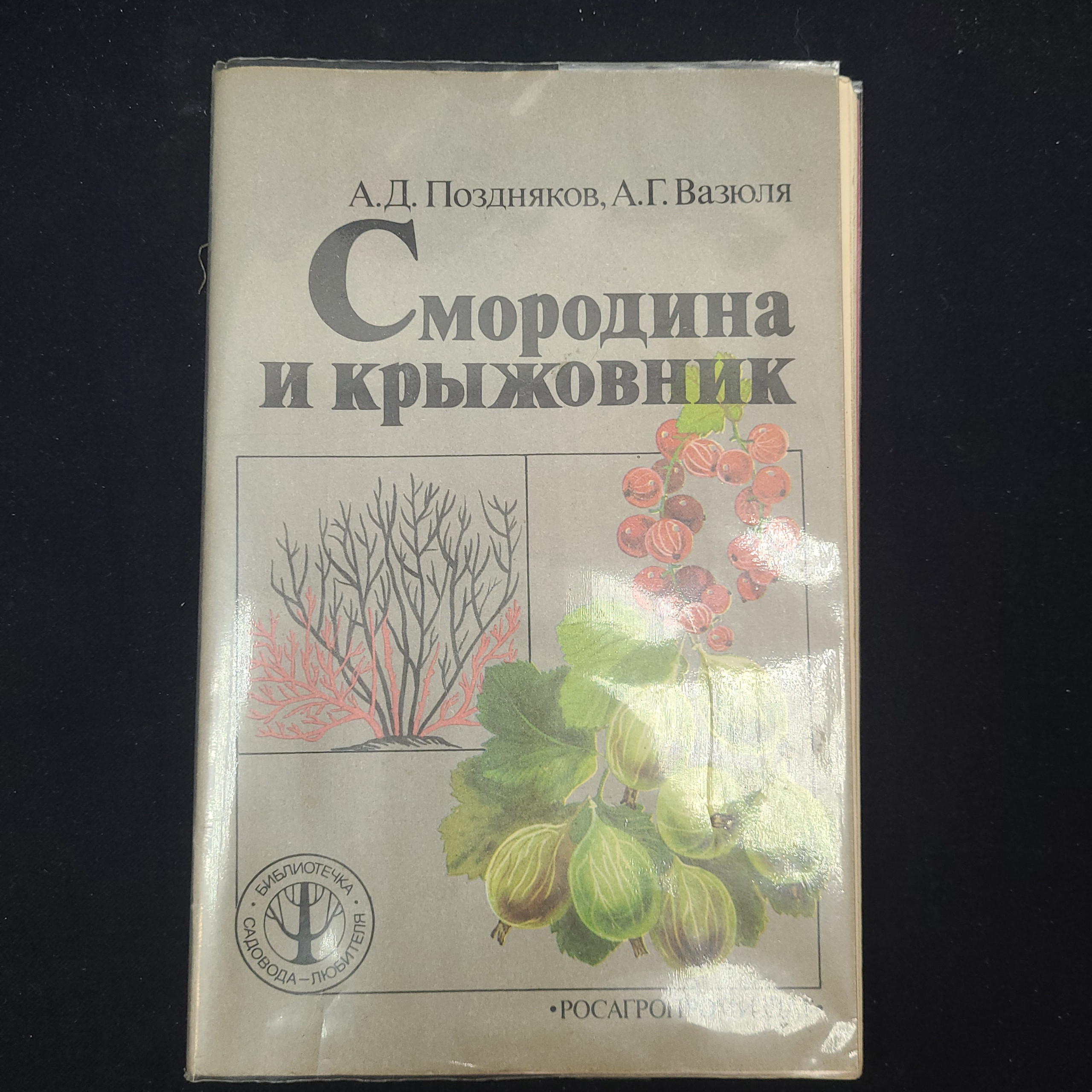 Картинка 1