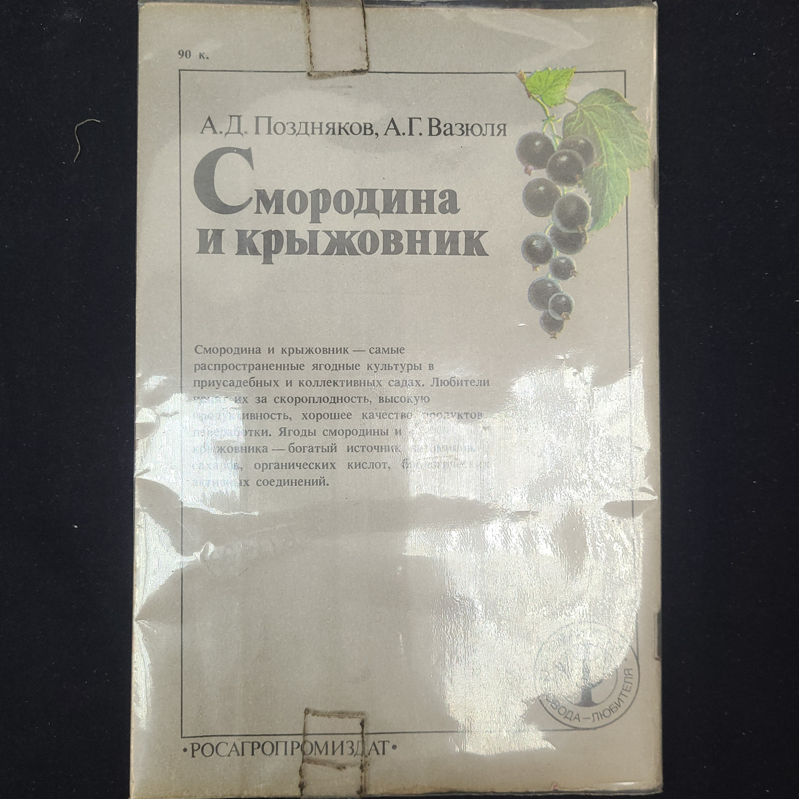 Картинка 2