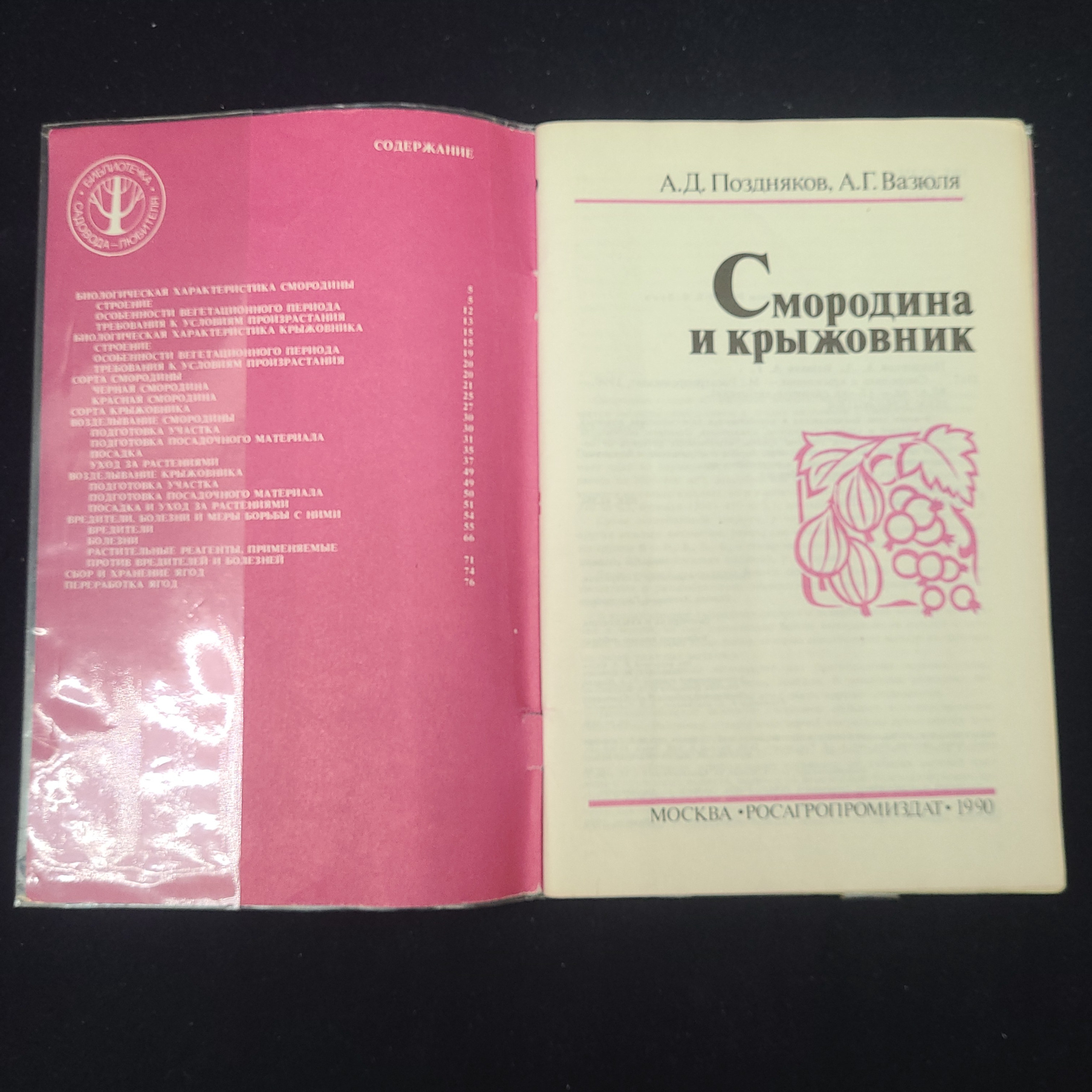Картинка 3