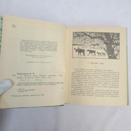 Картинка 5