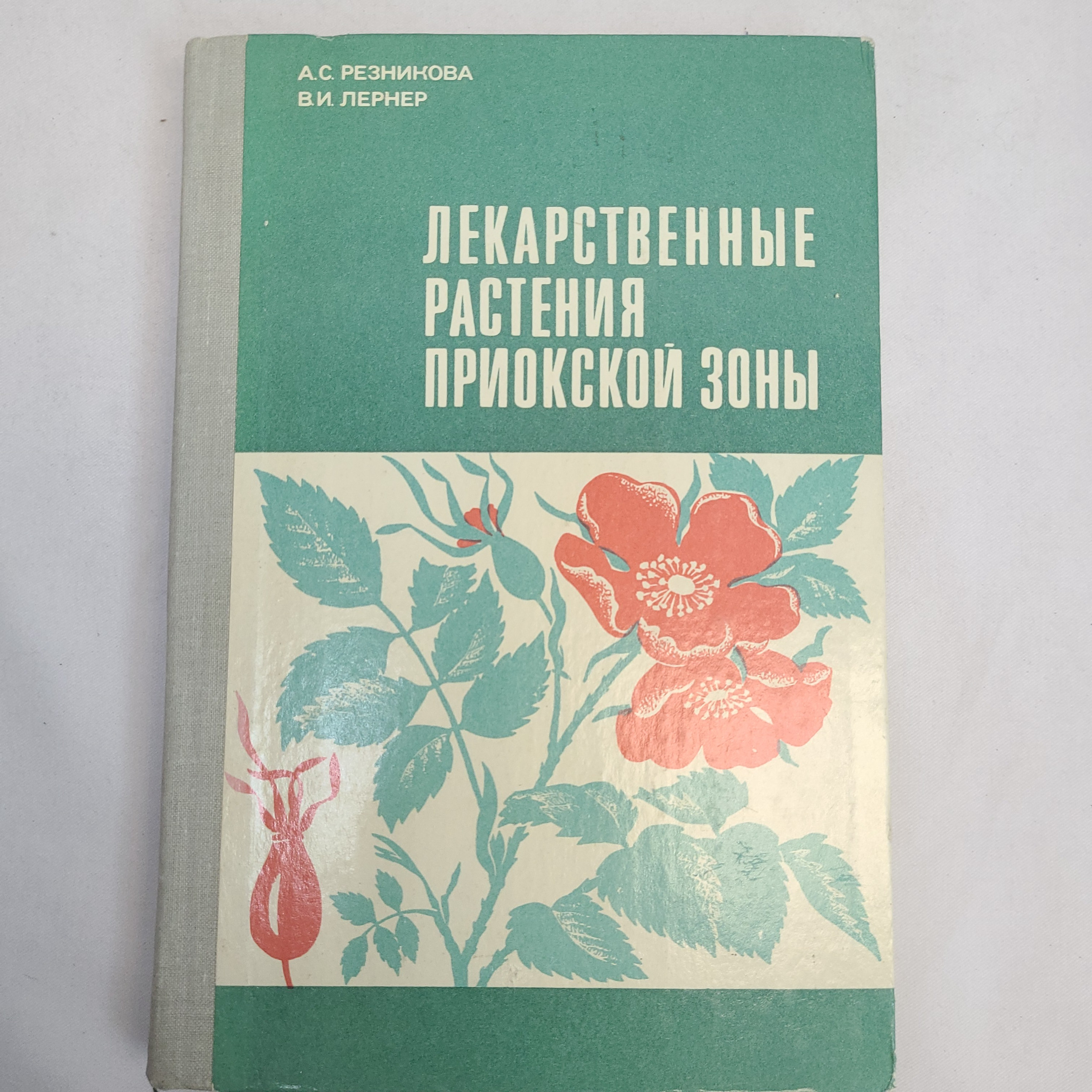Картинка 1