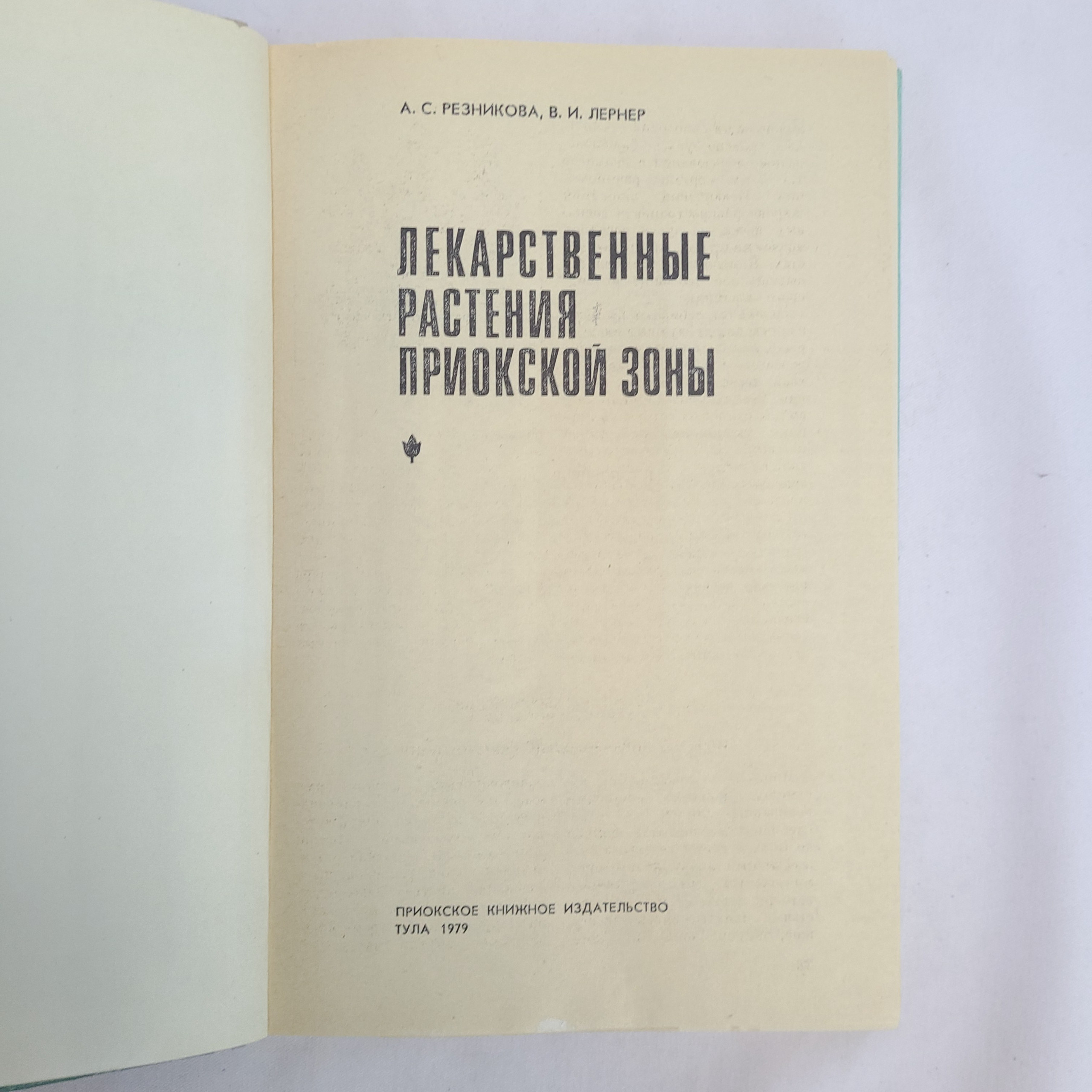 Картинка 4