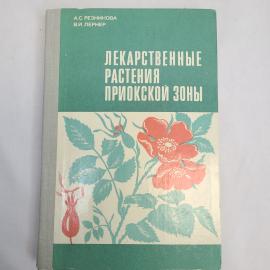 Картинка 1