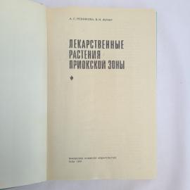 Картинка 4