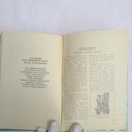 Картинка 6