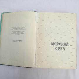 Картинка 5