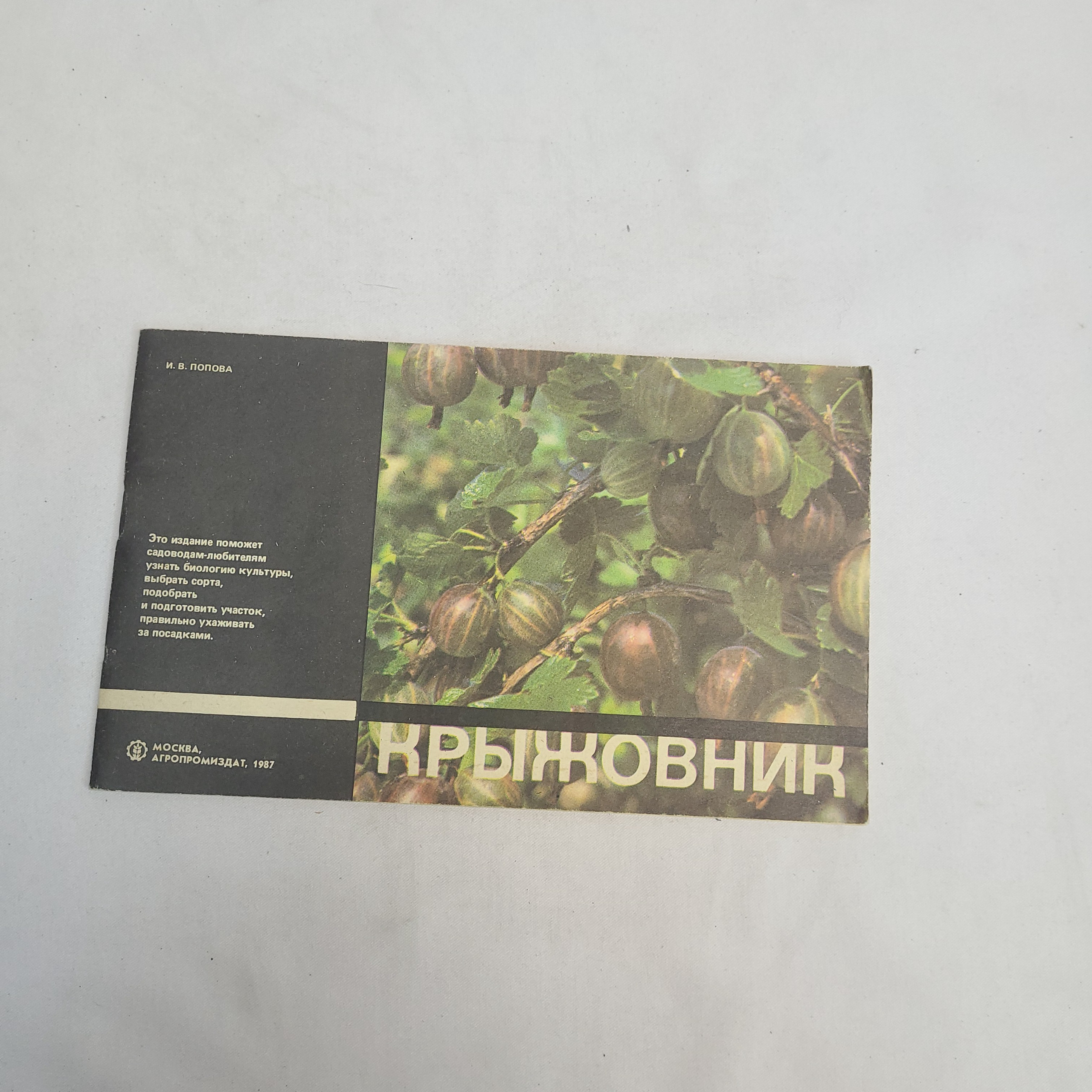 Картинка 1