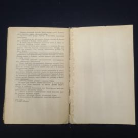 Картинка 7