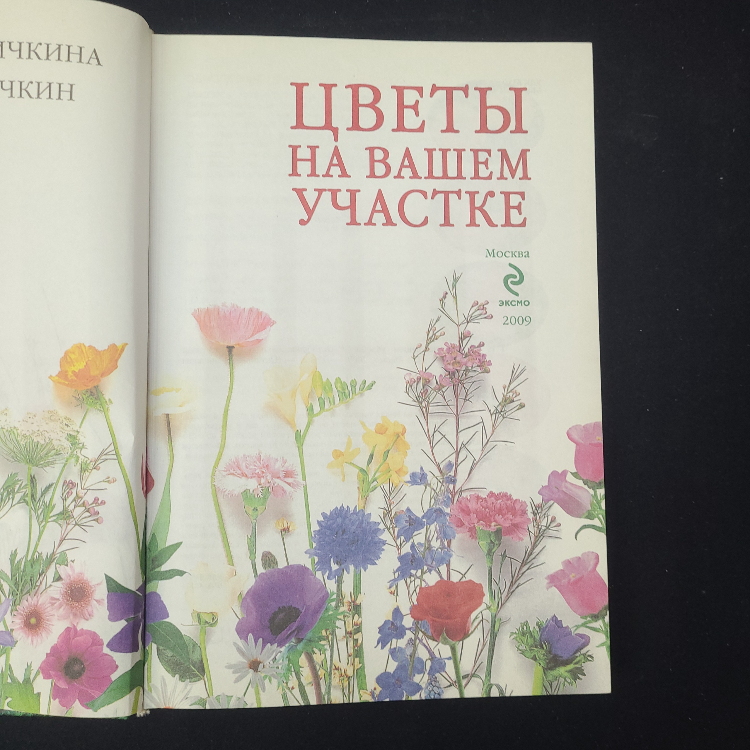Картинка 4