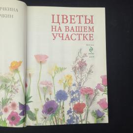 Картинка 4