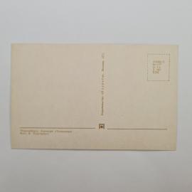 Картинка 2