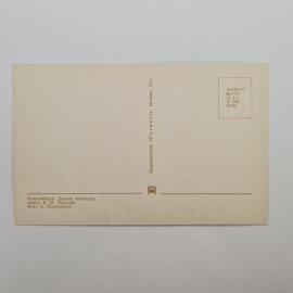 Картинка 2