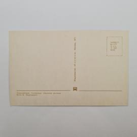 Картинка 2