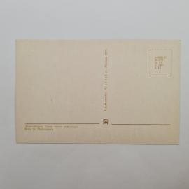 Картинка 2