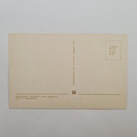 Картинка 2