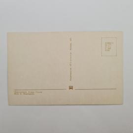 Картинка 2