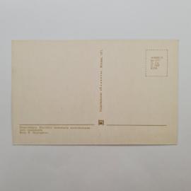 Картинка 2