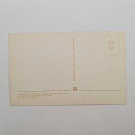 Картинка 2
