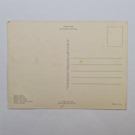 Картинка 2