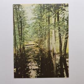 Открытка старинная. Кемерский парк, лесной пейзаж с каналом и деревьями, Латвия, природа