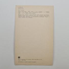 Картинка 2