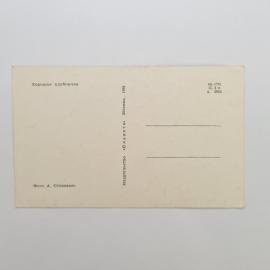Картинка 2