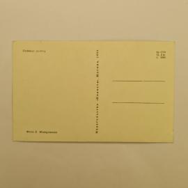 Картинка 2