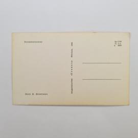 Картинка 2