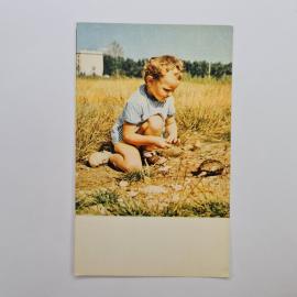 Открытка советская СССР. Ребенок и черепашка, природа, детство. Винтаж, издание Москва 1969