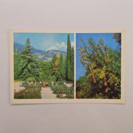 Открытка советская СССР. Крым, Никитский ботанический сад, розарий, гранатовое дерево. Винтаж