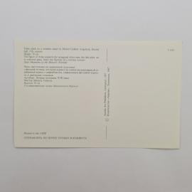 Картинка 2