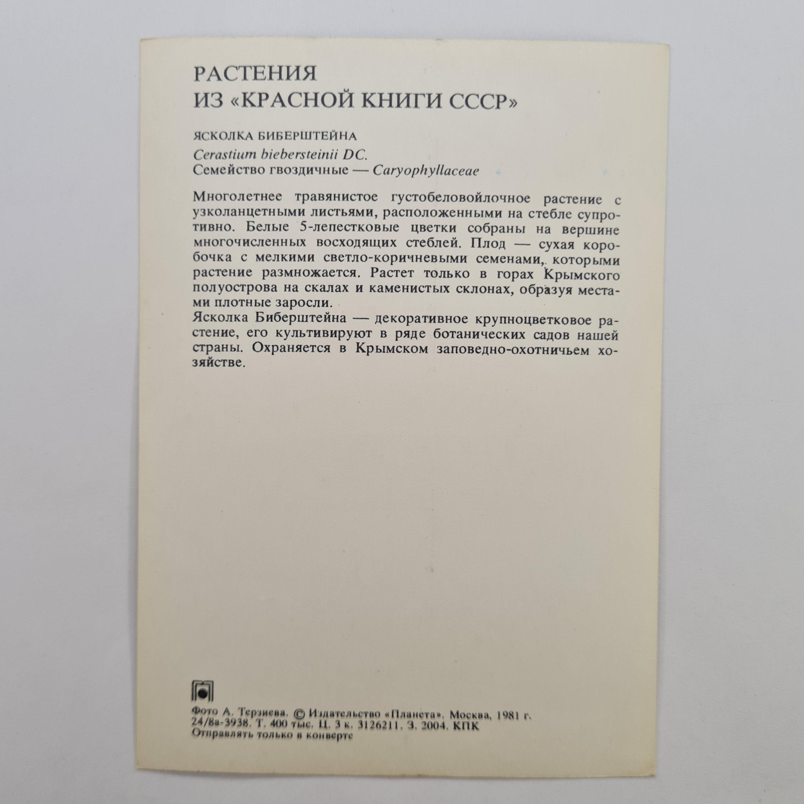 Картинка 2