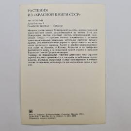 Картинка 2