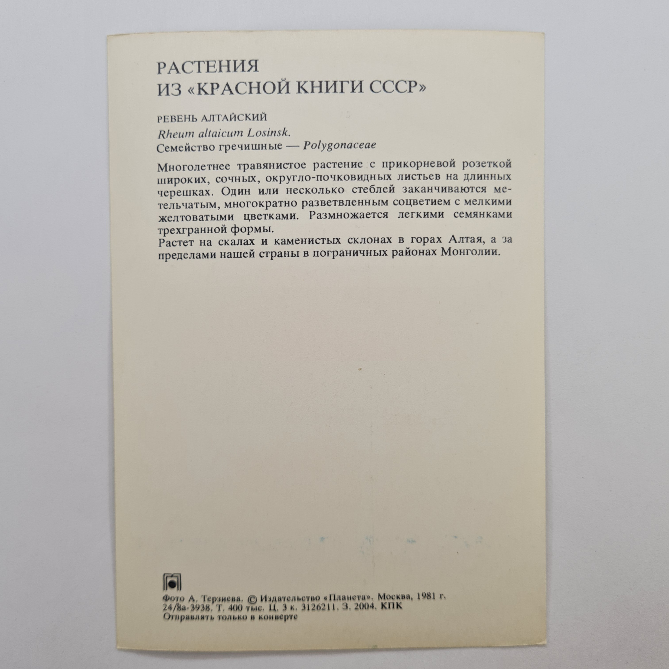 Картинка 2